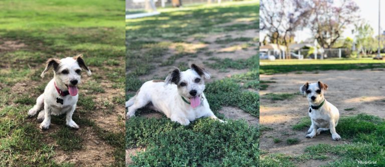 Maddie’s Adoption!