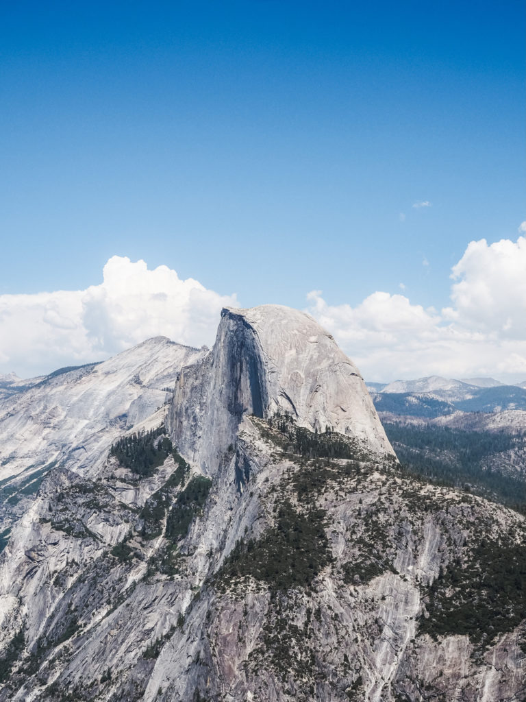 1 Dog-Friendly Day in Yosemite National Park!